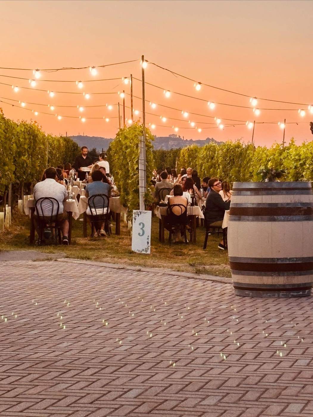 Cena in vigna al tramonto tra i filari della cascina Pontepietra, con le luci sospese e le colline delle Langhe sullo sfondo