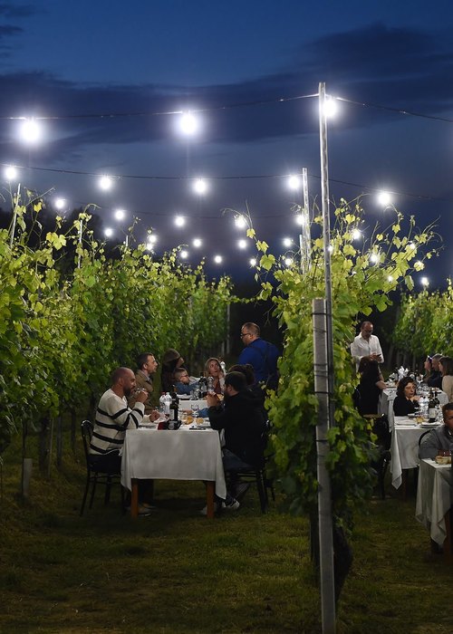 Cena in vigna tra i filari della cascina Pontepietra